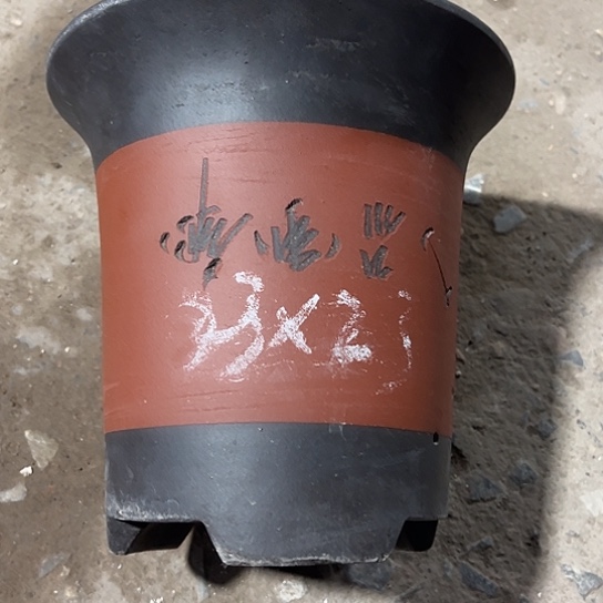 紫砂工艺厂……紫砂工艺厂……