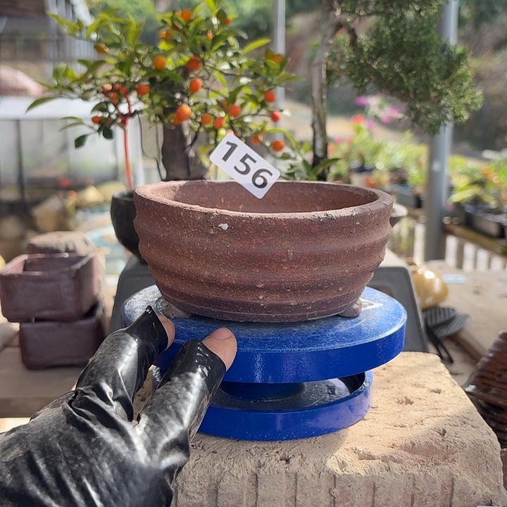 12x5:////////156////花盆