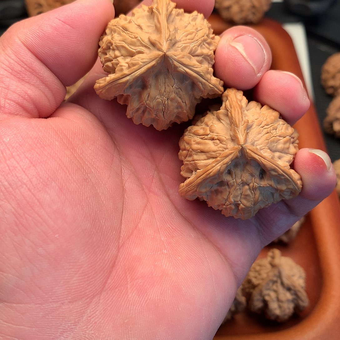 蔡***。把件文玩核桃精品盘山公子帽