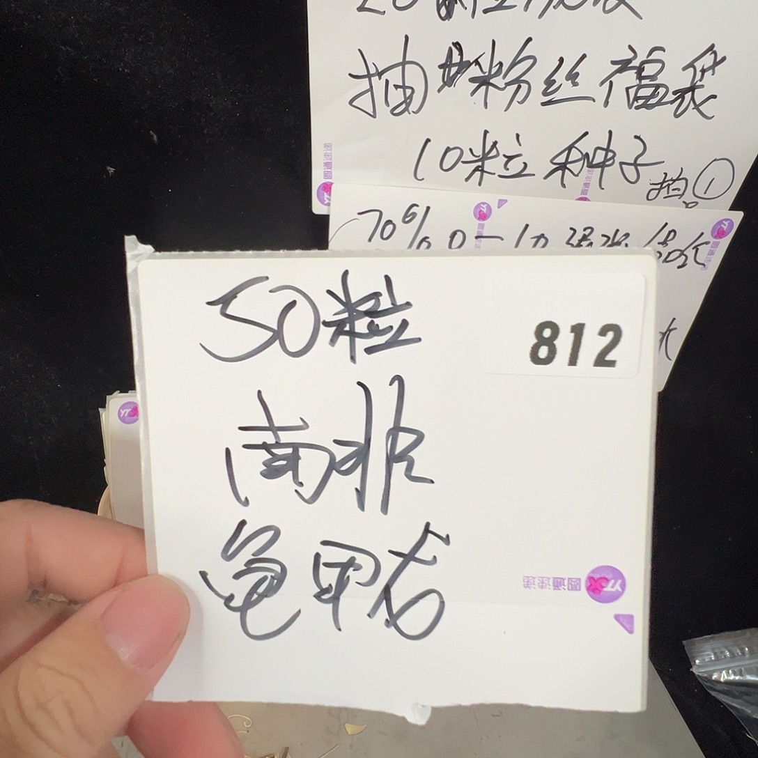 多肉植物专拍植物不退换 一物一拍 812