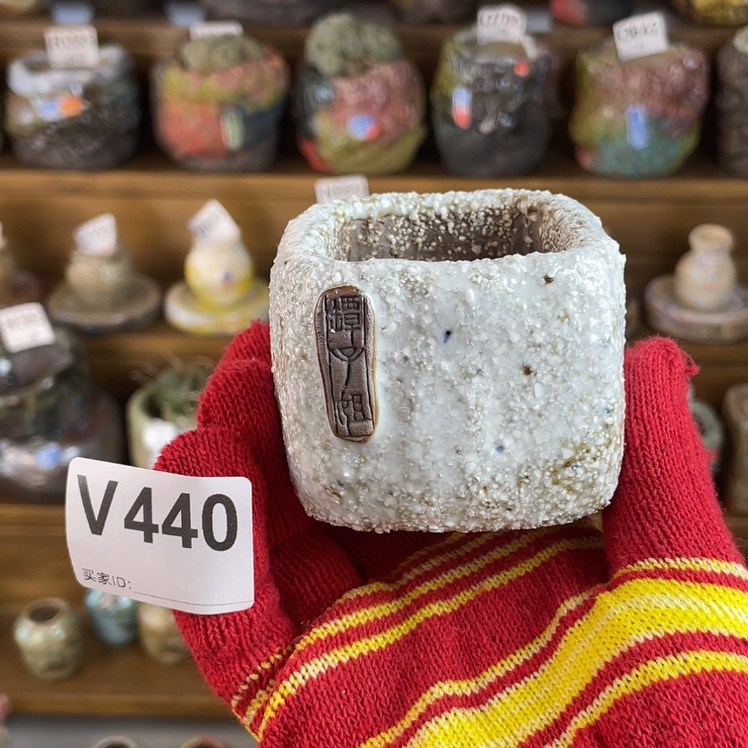 坛子姐花盆 跳跳糖内口4.8百搭