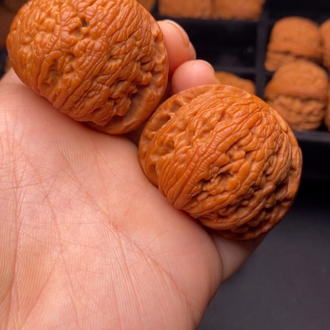 文玩核桃把件秦岭野生核桃