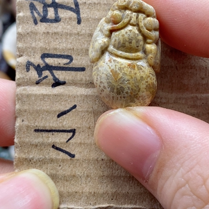 硅化珊瑚（珊瑚玉）颈饰未镶嵌