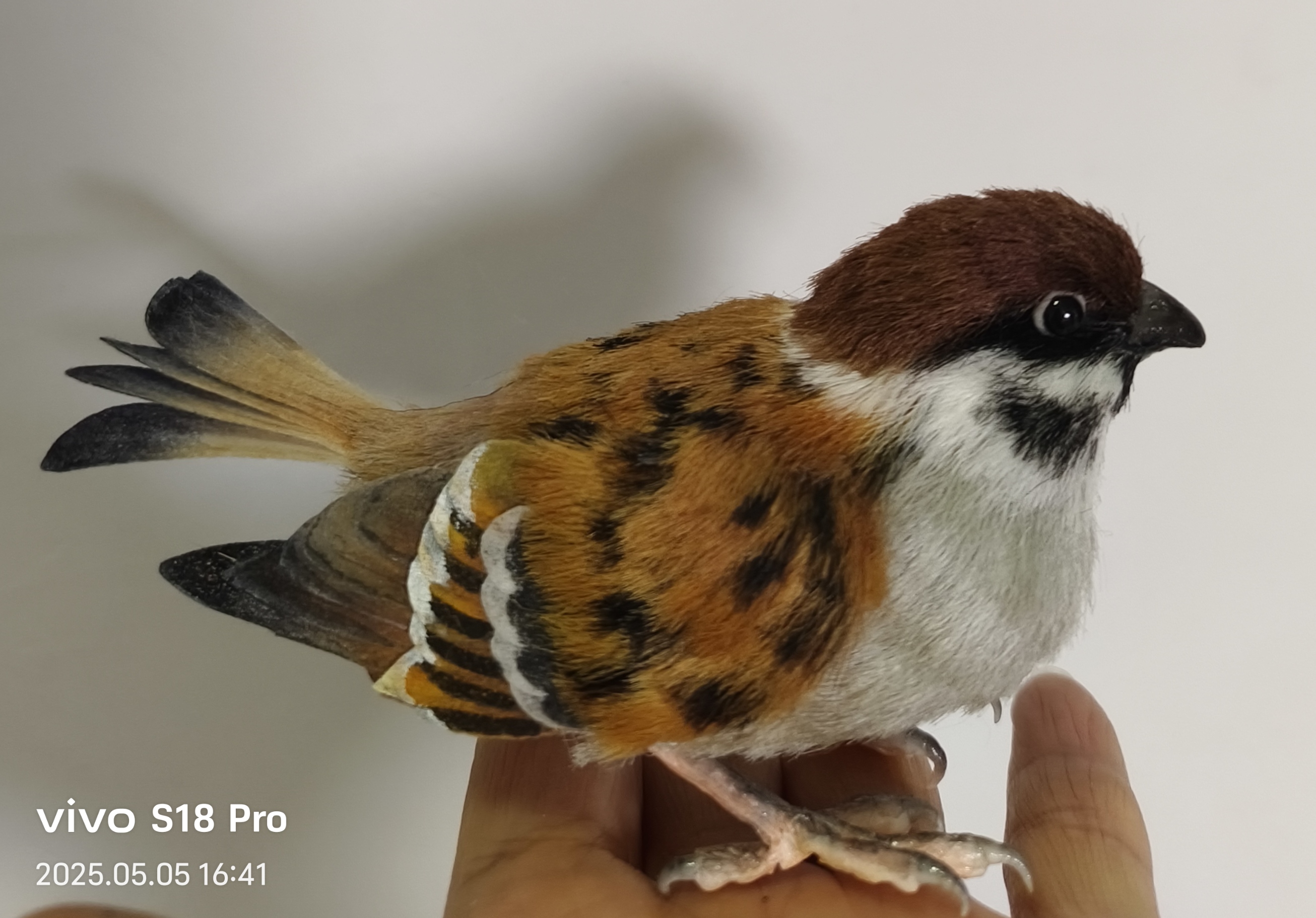 手工艺品蚕丝做的