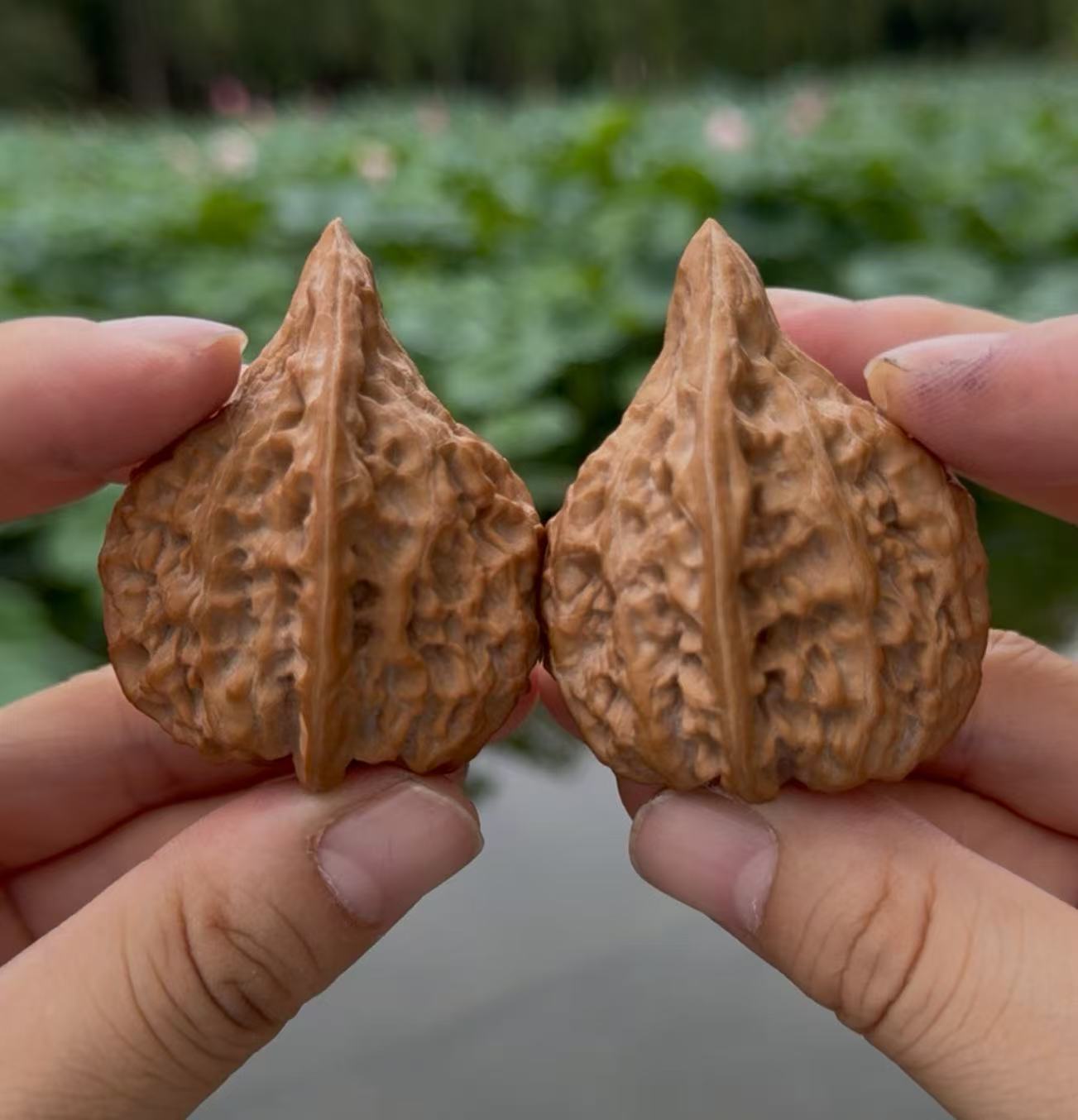 全品瓷瓶鸭嘴文玩核桃