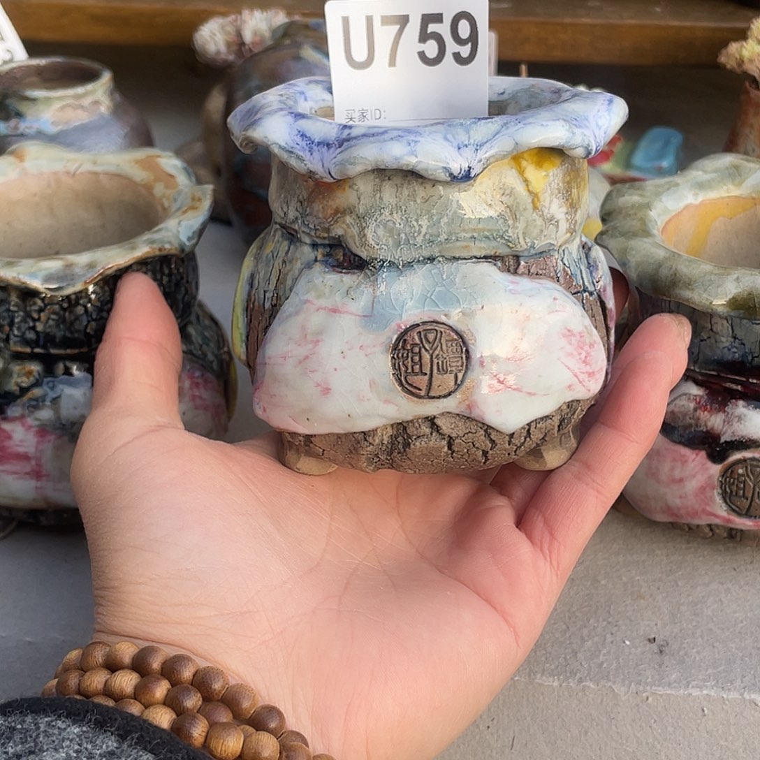 丁***ᰔ坛子姐多肉花盆内口5