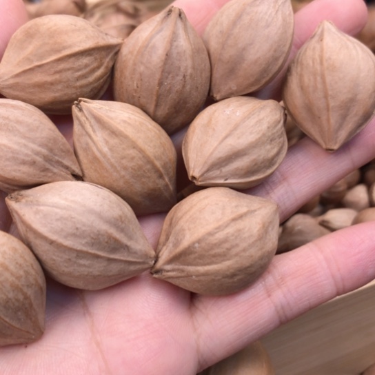 吊坠橄榄核﷽****람