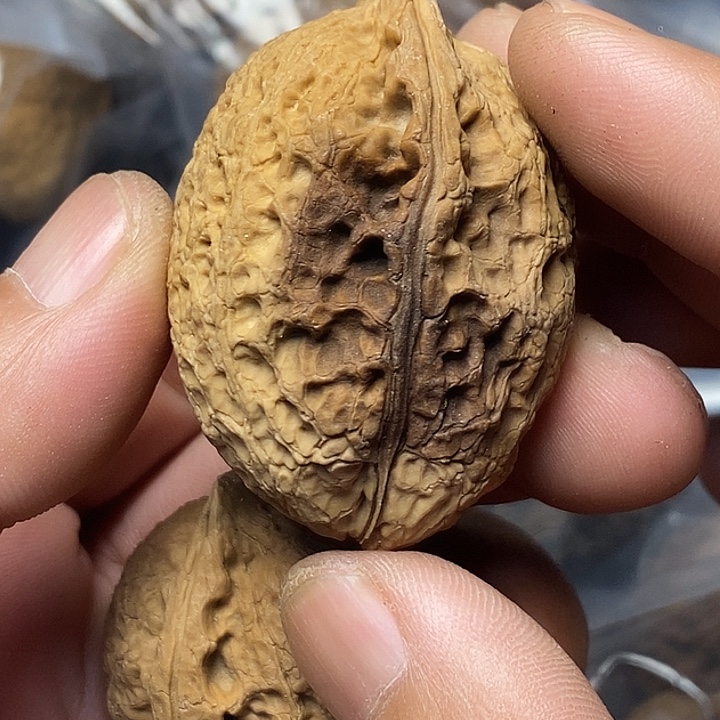 把件文玩核桃云南铁核桃21