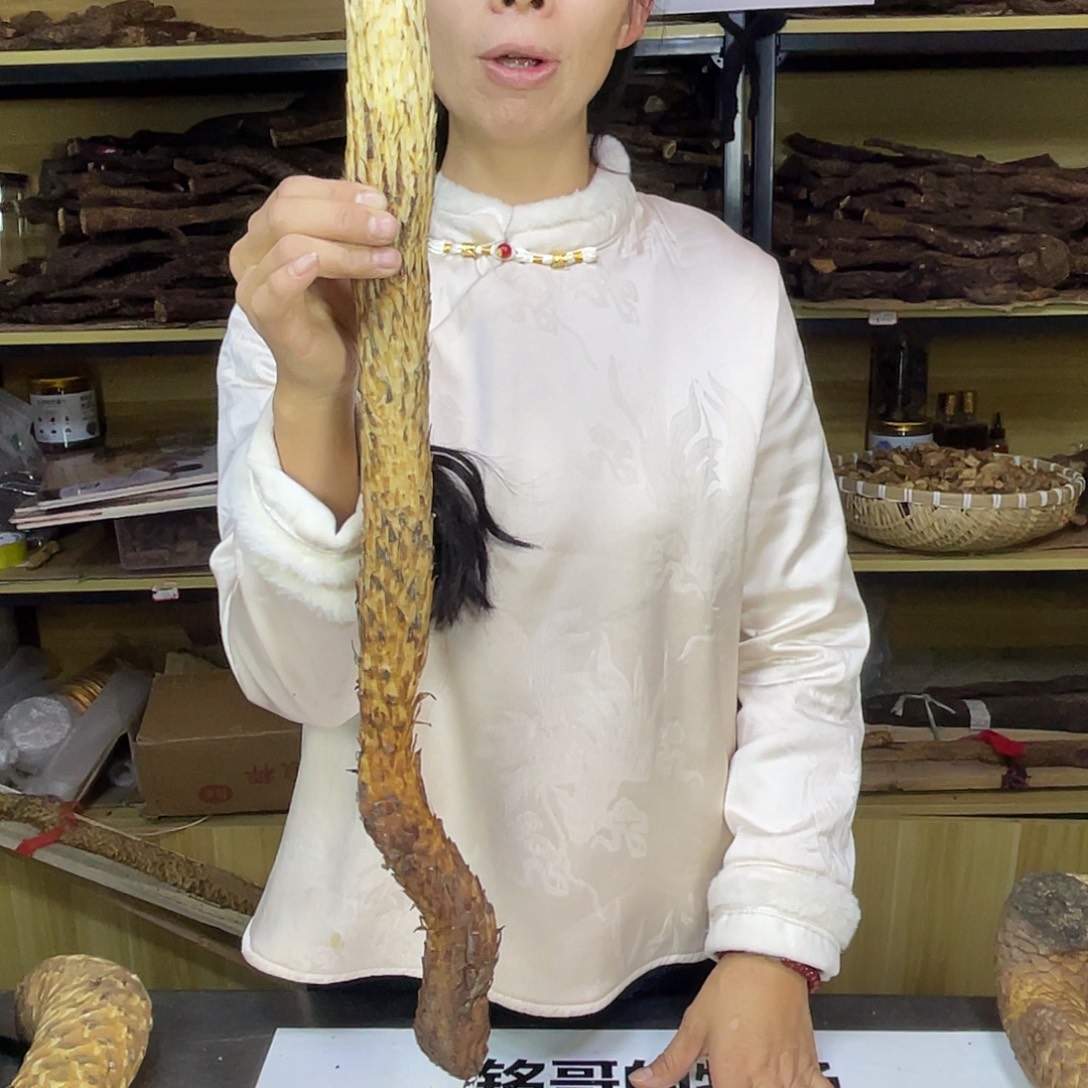 猛****中国大陆490克66厘米