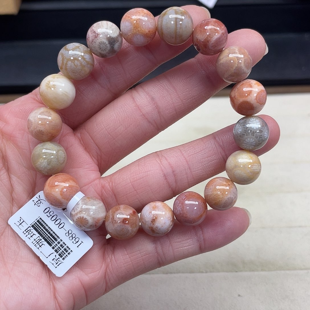 未镶嵌手串硅化珊瑚（珊瑚玉）162