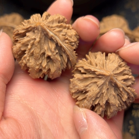文玩核桃吊坠秦岭核桃3