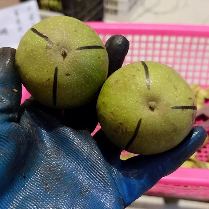 小****文玩核桃把件文玩核桃岐山三愣