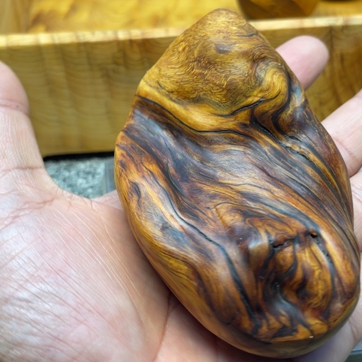 柏木（崖柏）崖柏57