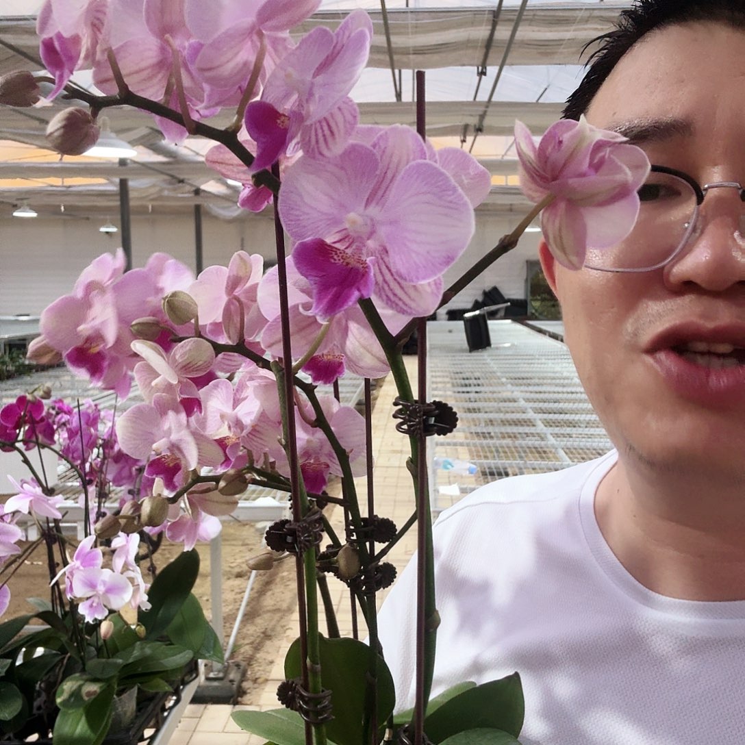 完全开放幽梦微瑕3.0加高单双混发
