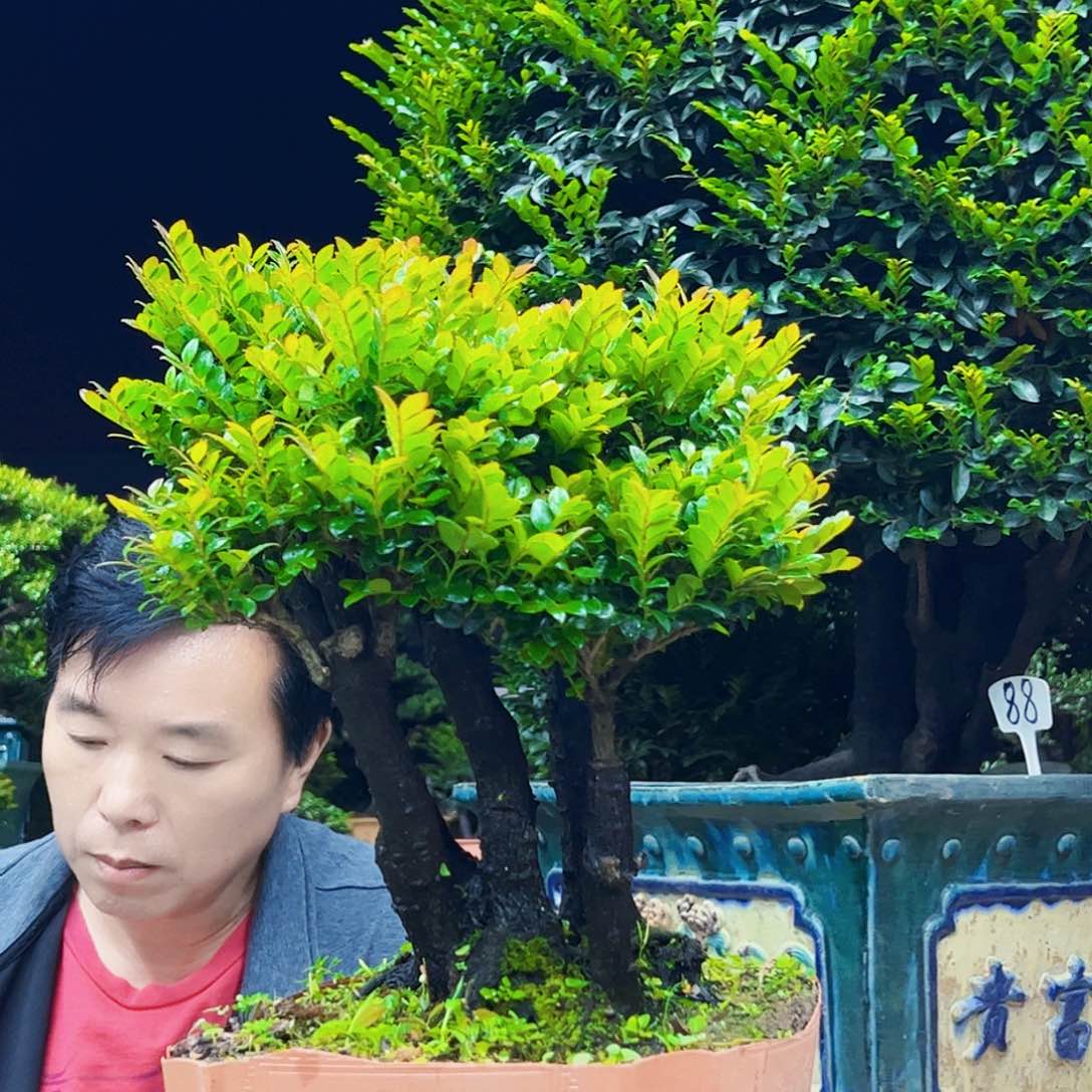 以实际为准?****12345678
