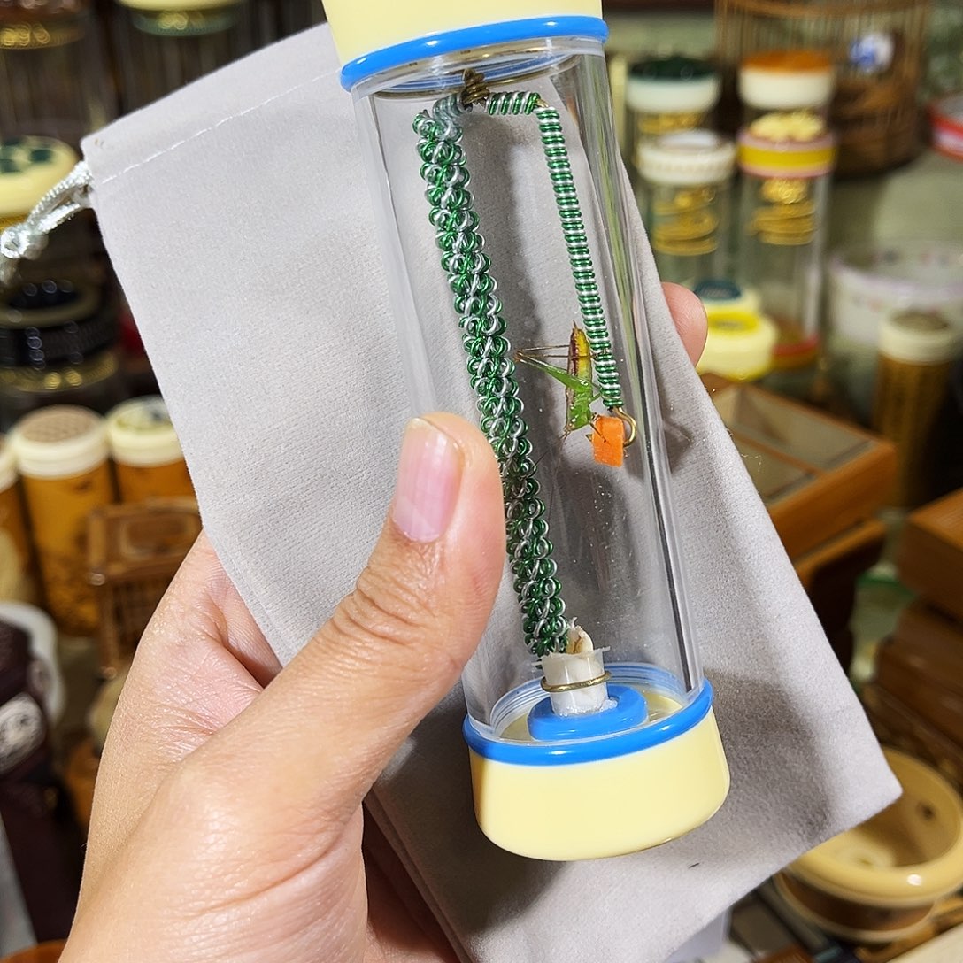 蟋蟀有机竹蛉筒+糖果彩螽+布套