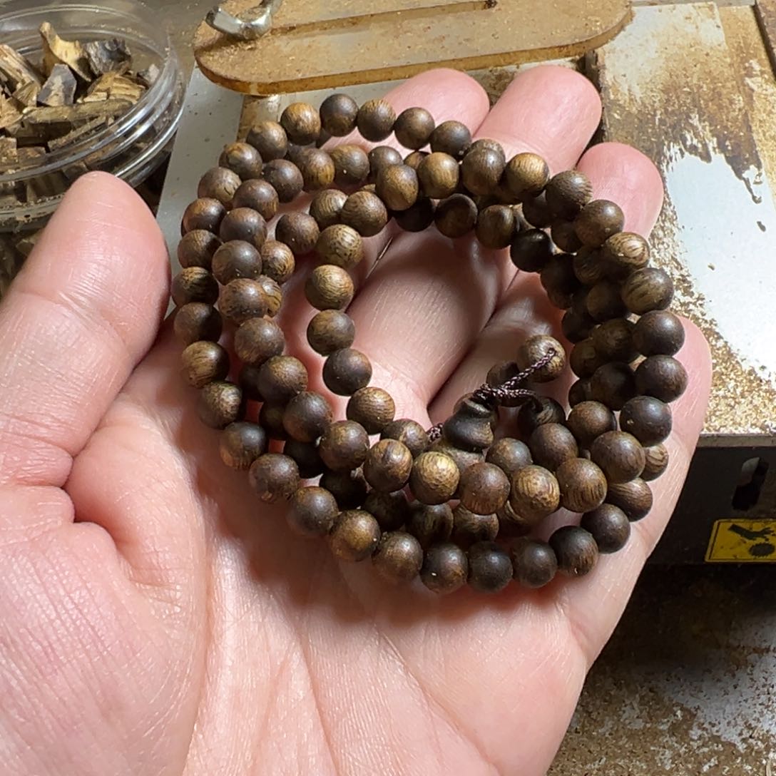 高油脂凹身品种卡7多圈