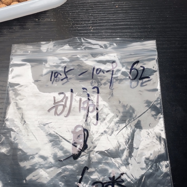 别***闹小桃核散籽批发60