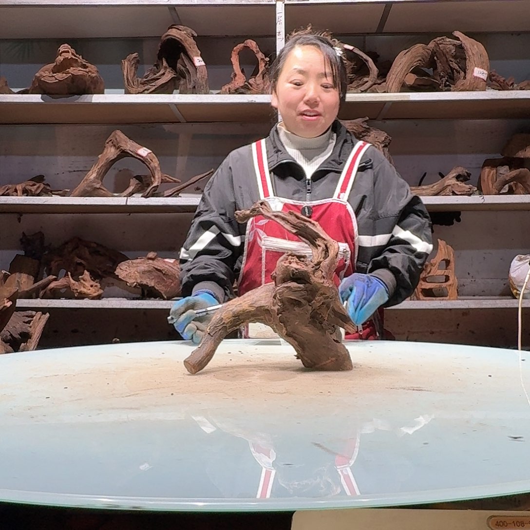 倍诸沉木不包损必褪色瑶****计6970