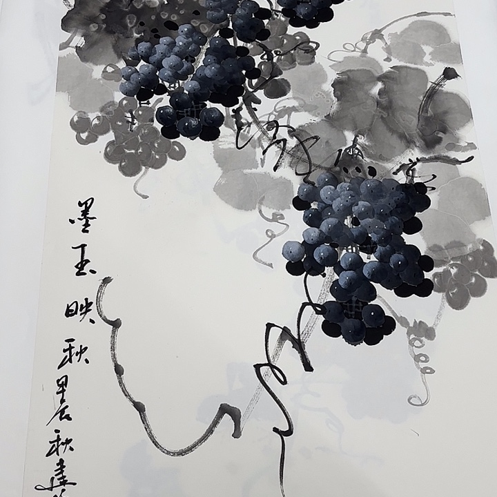 国画花鸟等多种鸟类的栖息地和栖息地等