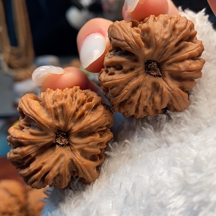 把件文玩核桃6号 36尺凹底南疆 全品