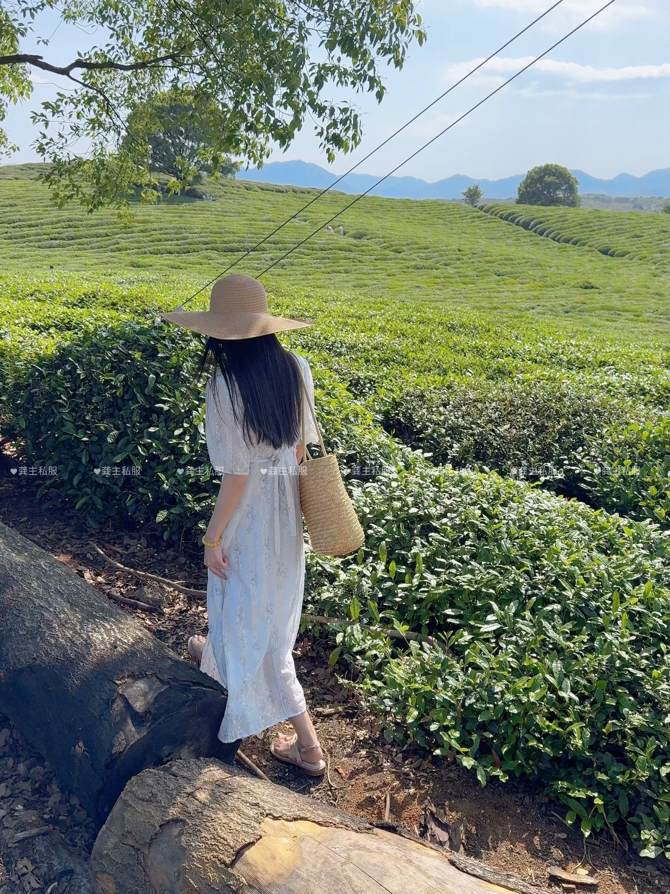 【茶场小憩】2025夏季新款V领收腰连衣裙