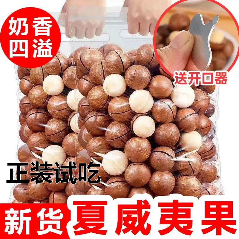 澳洲进口特大颗粒新货夏威夷果袋装奶香味带壳孕妇零食坚果炒货
