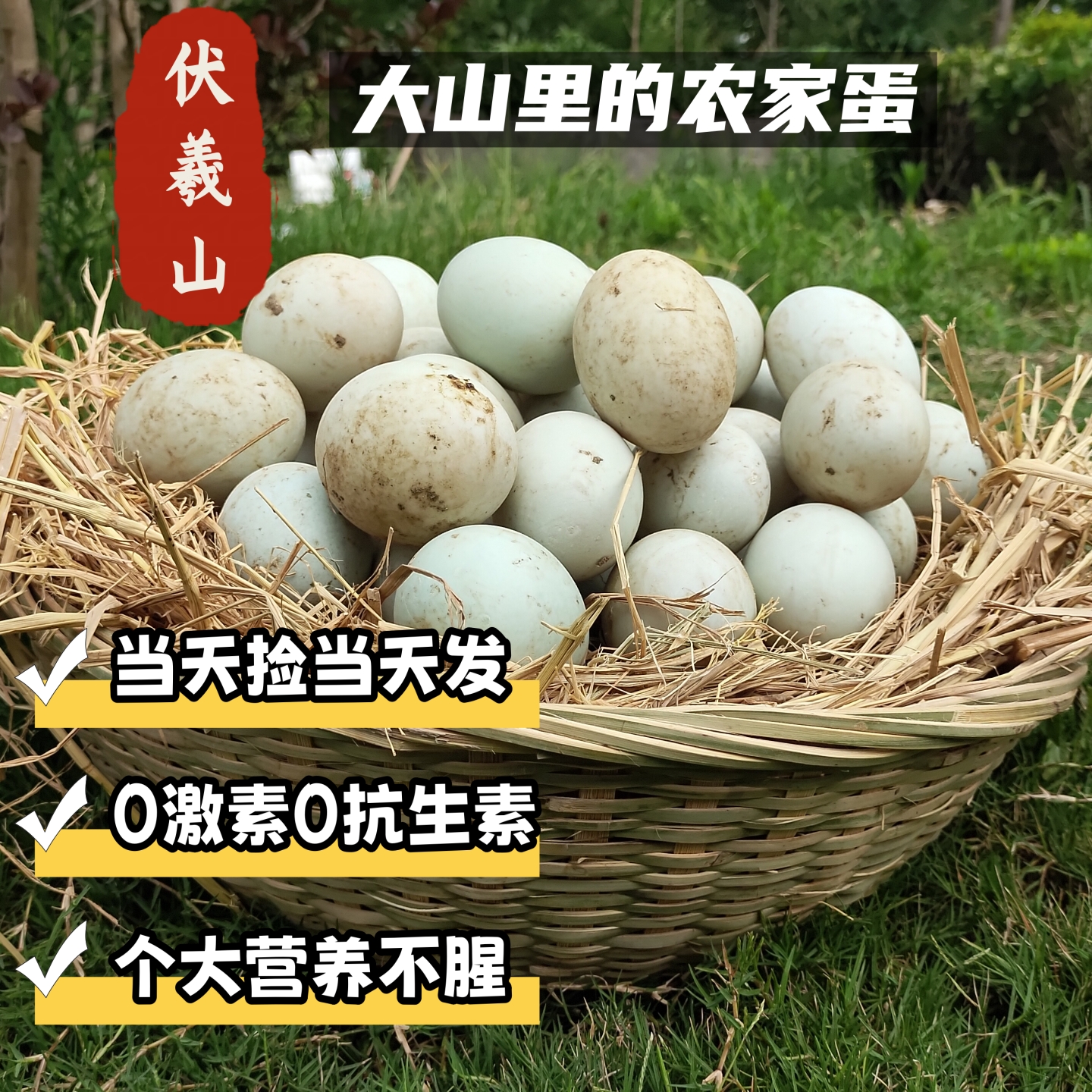 农家散养新鲜土鸭蛋绿皮青壳鸭蛋鲜鸭蛋生的鸭蛋河南农村鸭蛋大号