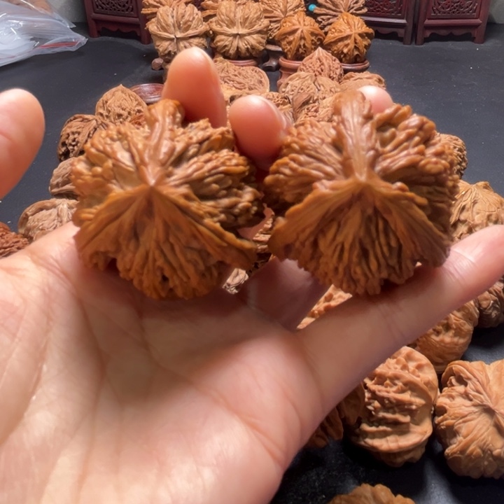 虎头三棱40尺寸核桃哈哈哈哈哈