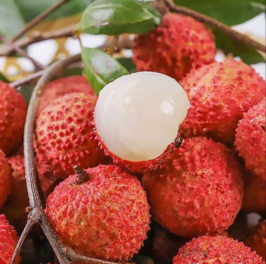 【鲜链送货上门-桂味】广东桂味荔枝当季新鲜现摘老树果多汁包邮