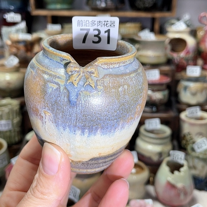 红陶内口径5高度7