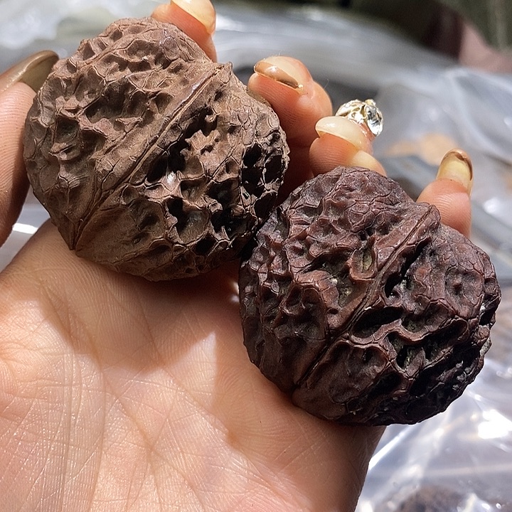 核桃云南野生铁核桃107号44mm