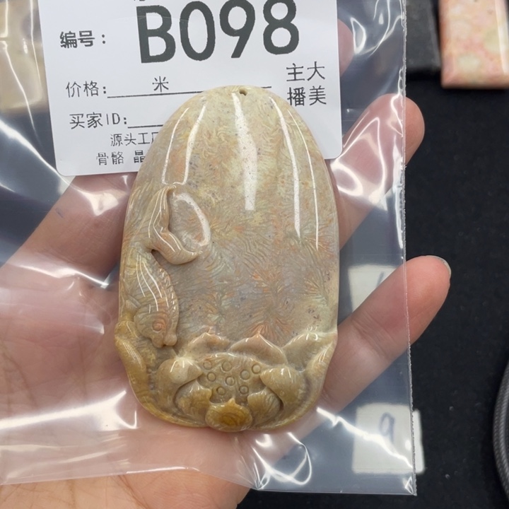 硅化珊瑚（珊瑚玉）颈饰合金