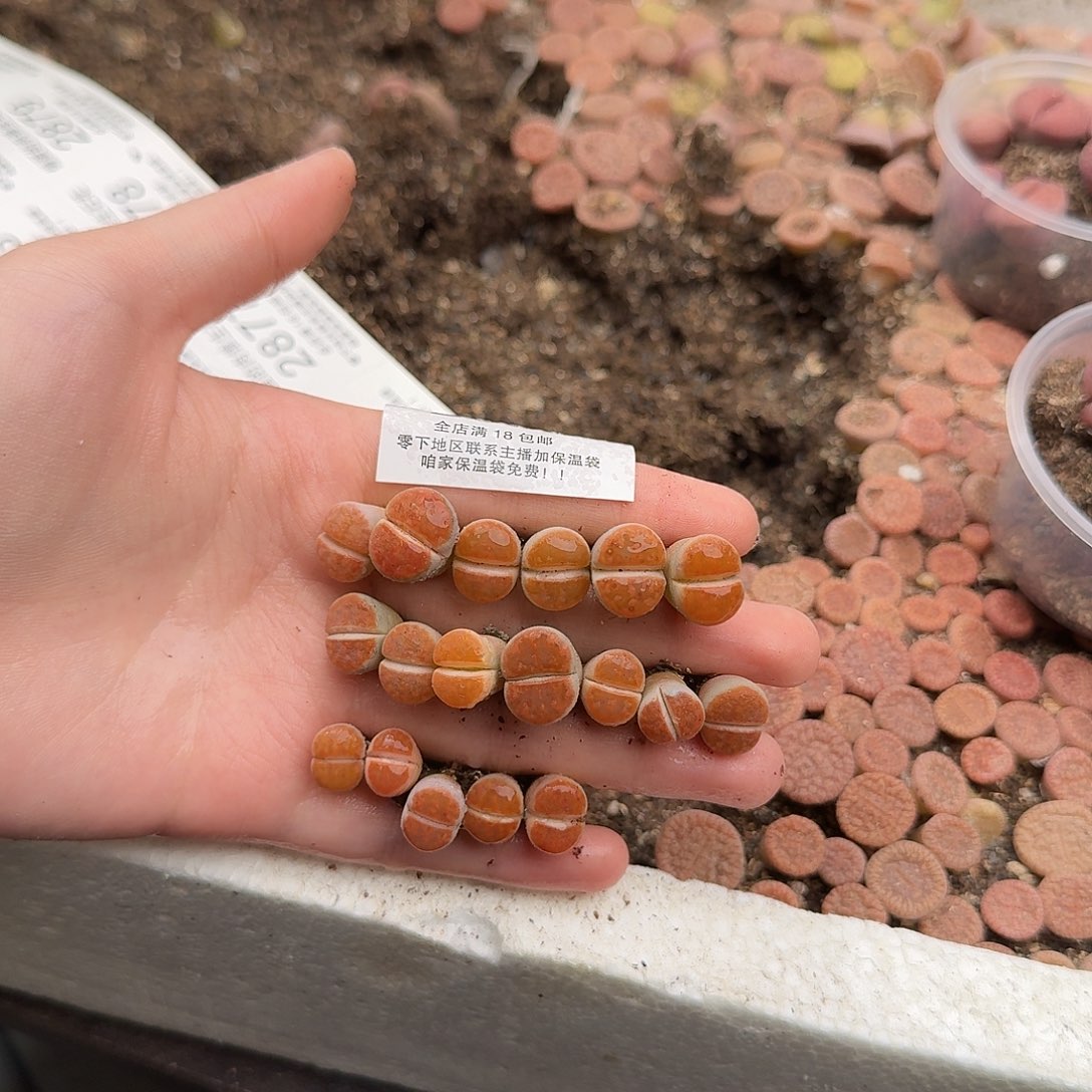 u***喆2858 哈哈哈哈哈哈哈哈