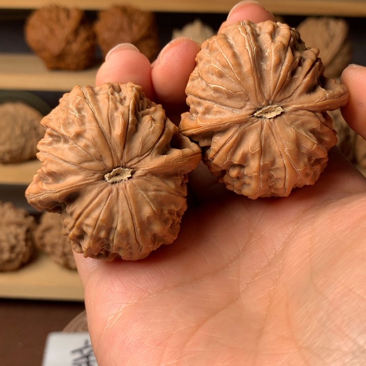 A***R大叶紫檀（黑酸枝木类）金麒麟5