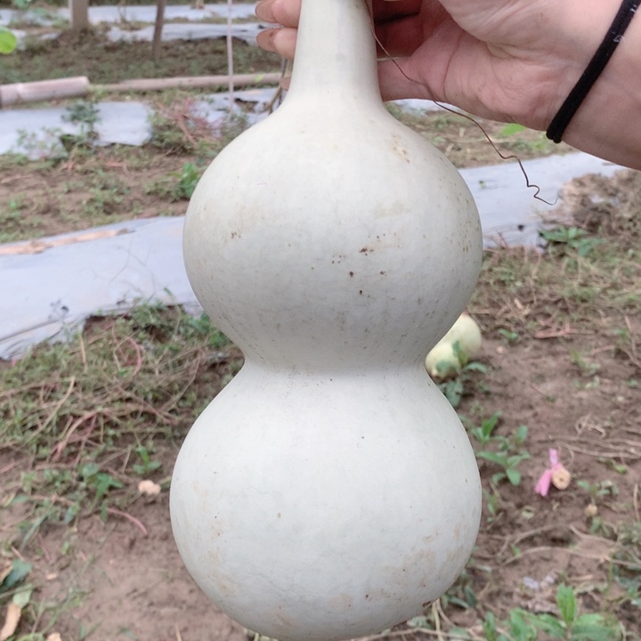 口***非中号现货秒杀现货