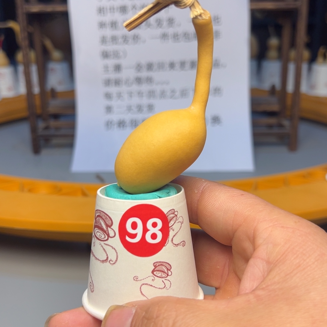 闪电购自助下单编号98