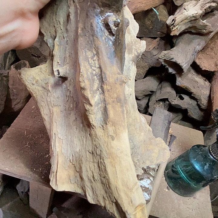 ****腾贡木把件我们都市丽人医院是