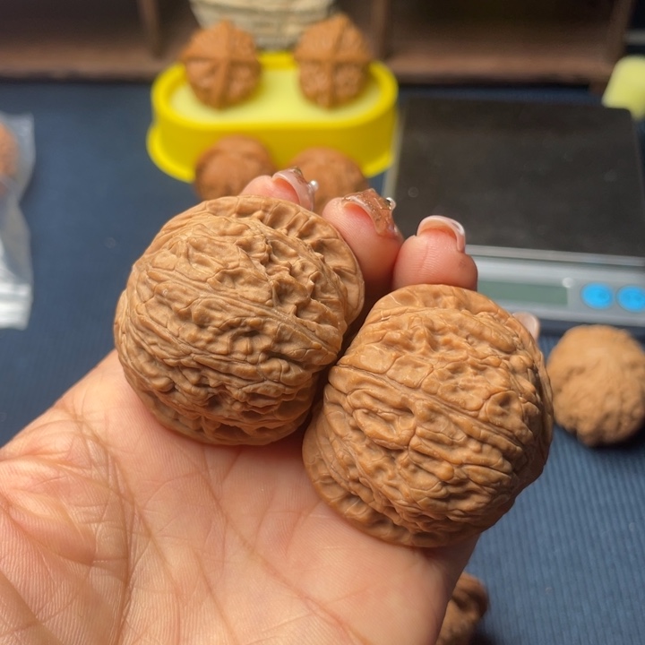 核桃42绣球全品无修