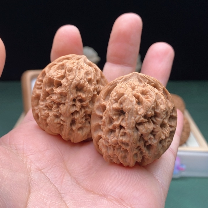 文玩核桃把件39尺全品华北将军膀