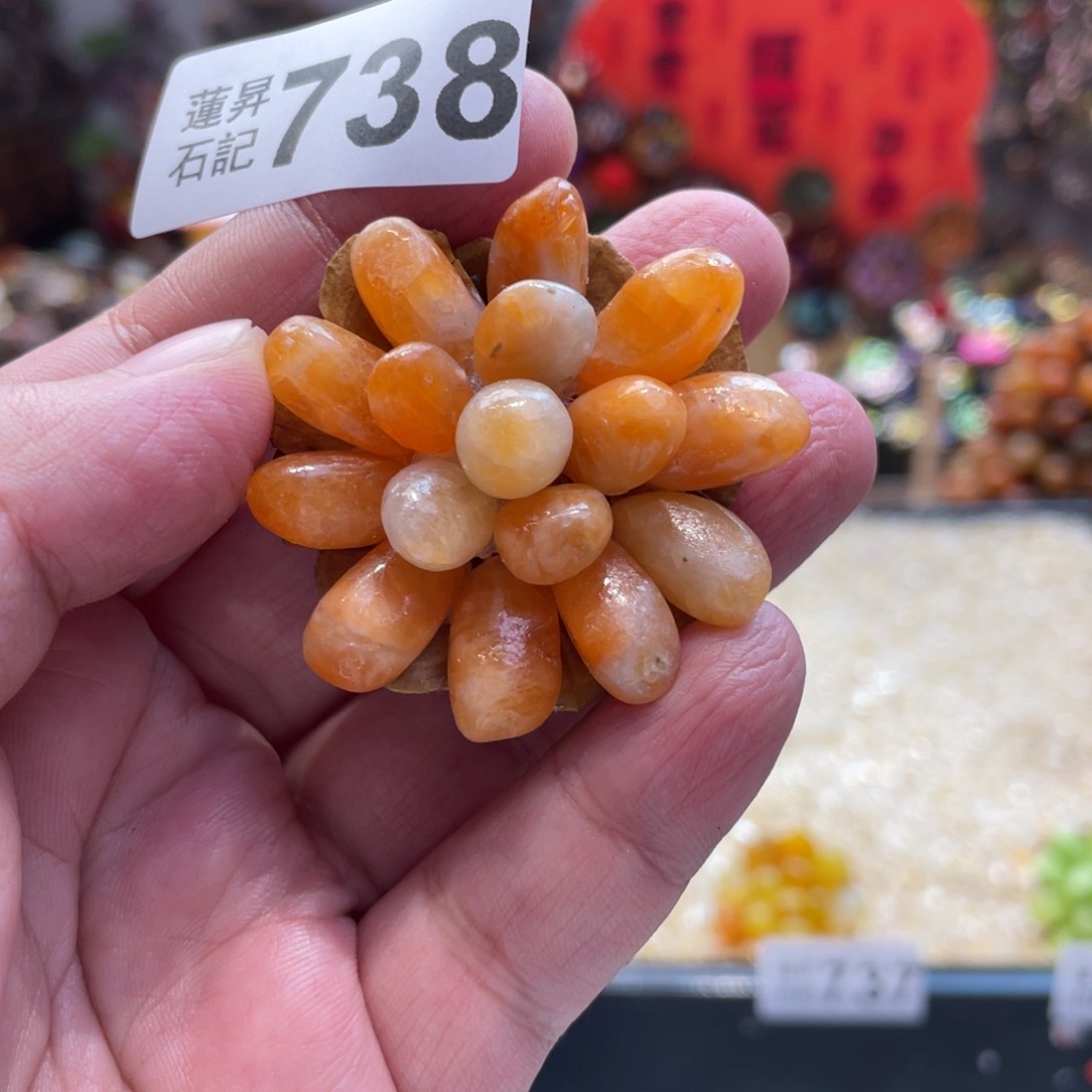 核桃木/黑胡桃（胡桃木）738