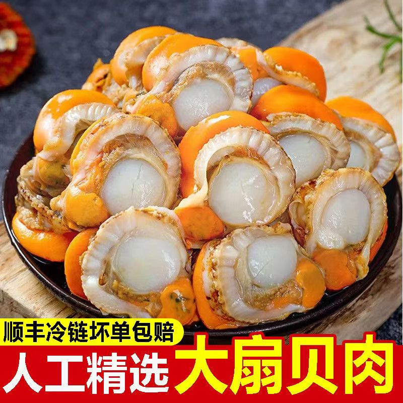 【助农】扇贝肉当季新货无冰衣新鲜现剥急速冷冻锁鲜大号扇贝肉散装