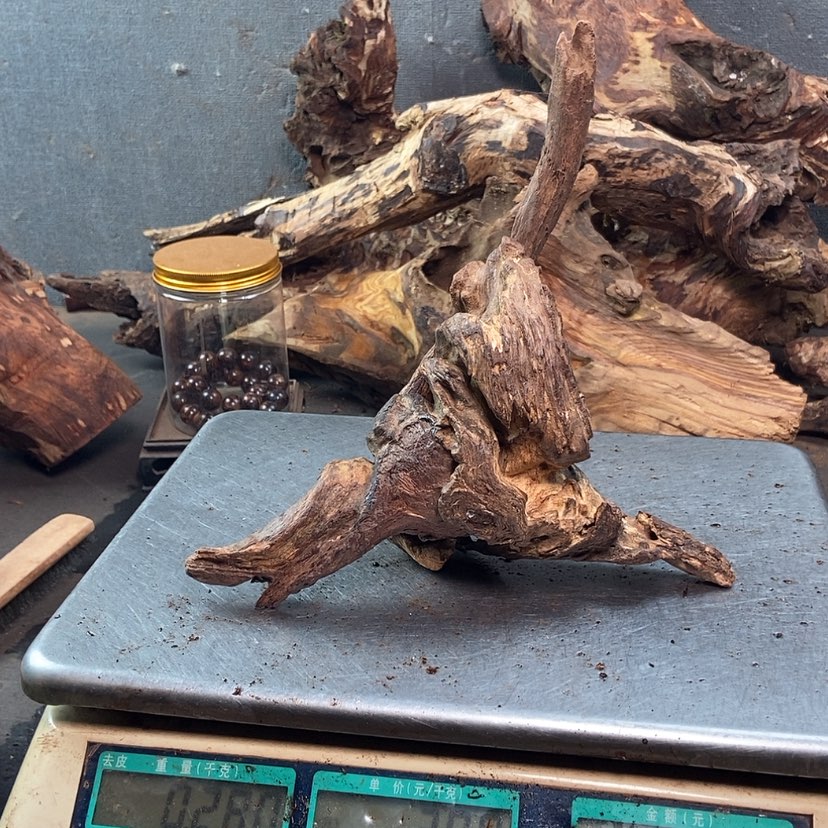 【闪购商品】黄花梨/降香黄檀皇***绿