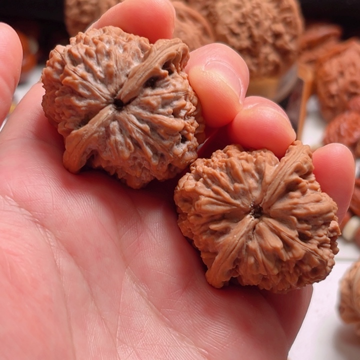 把件文玩核桃37尺寸晋公子