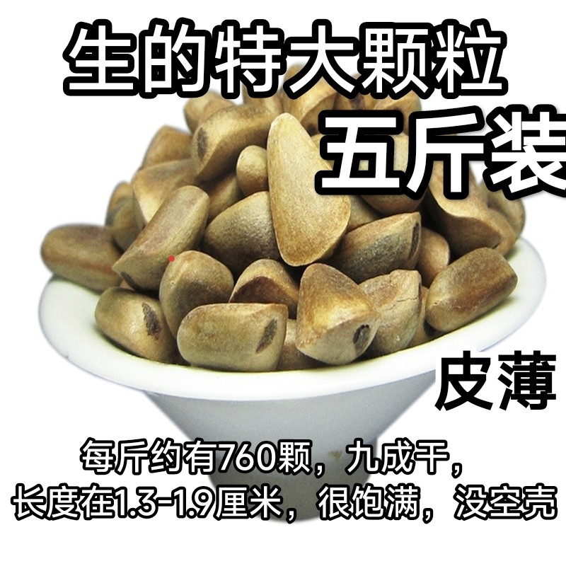 2025年东北生松子野生孕妇坚果新货未加工新鲜松子不开口松籽