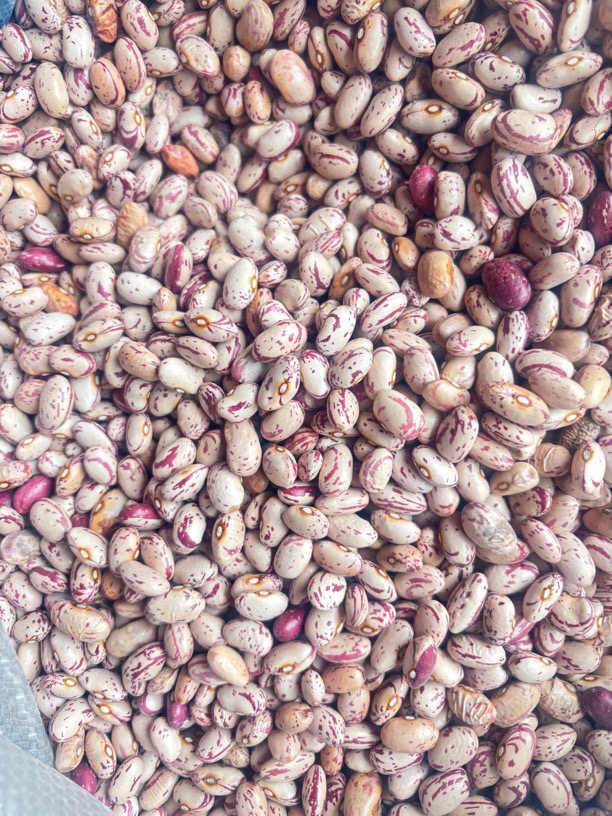 丘北县红豆丘北特产