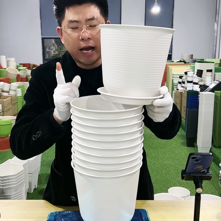 正品高陶口21高21白色6只带托