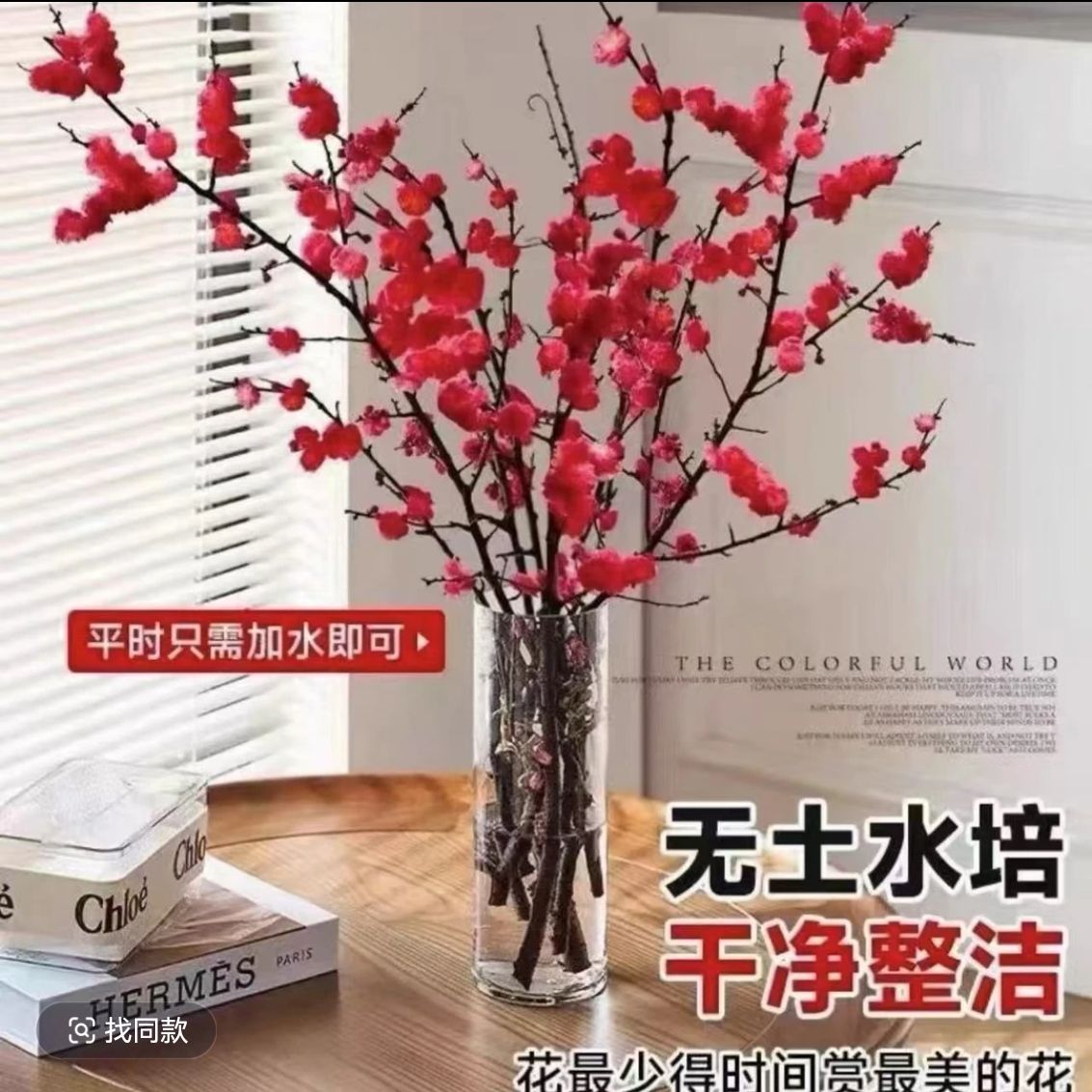 【现摘现发30枝】红梅色枝带花苞发货丨水培植物粉色桃花鲜红花干枝