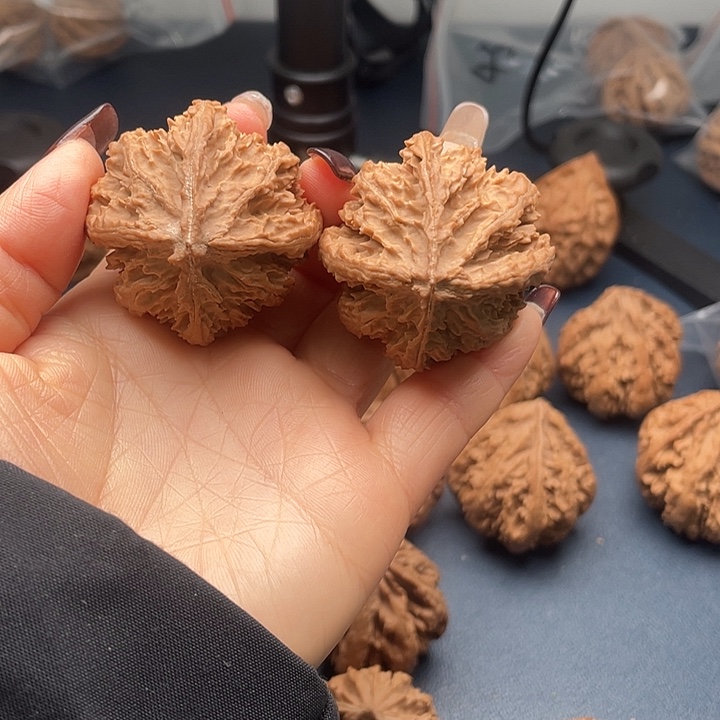 龙脊菩提把件秦岭核桃