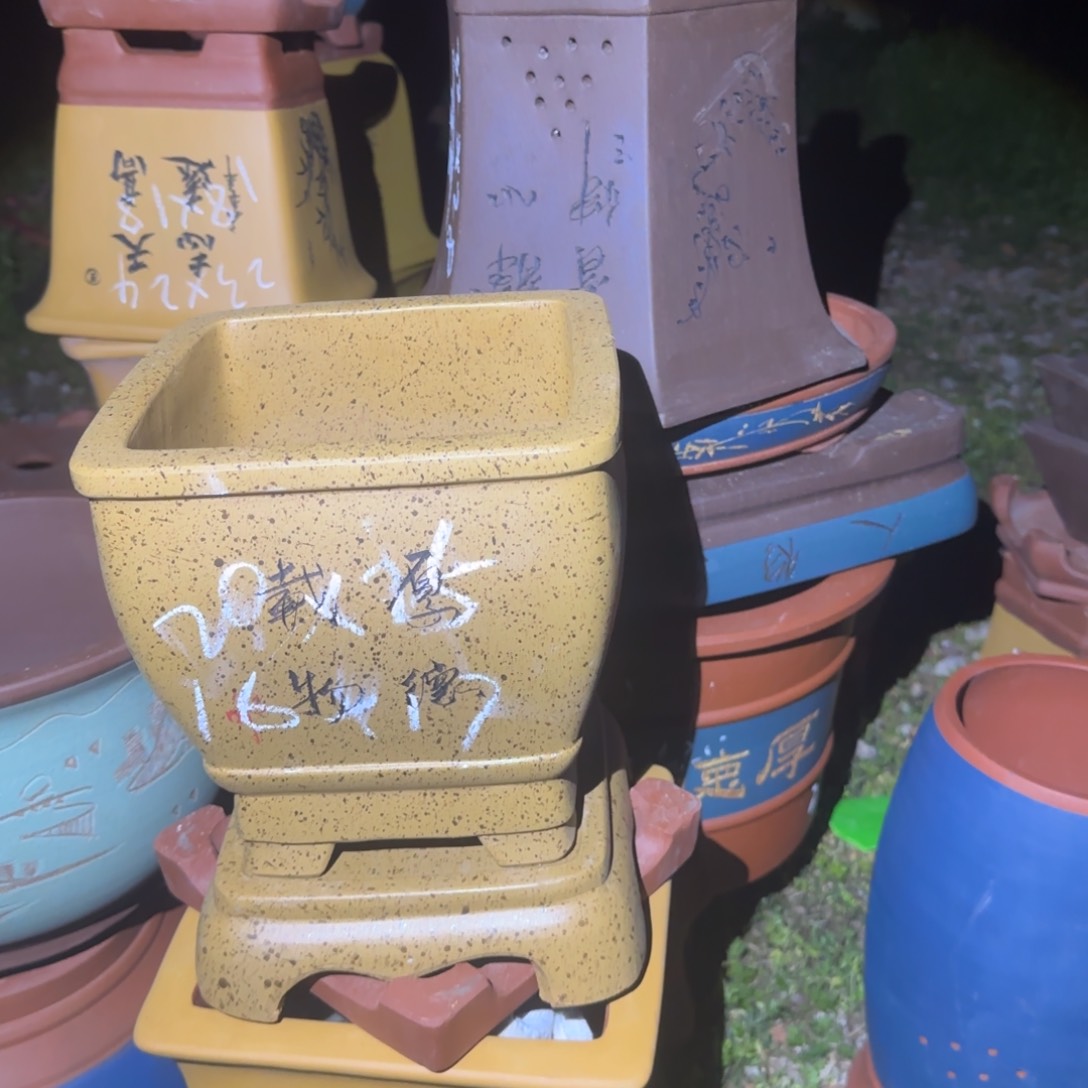 紫砂花盆花盆盆景盆栽